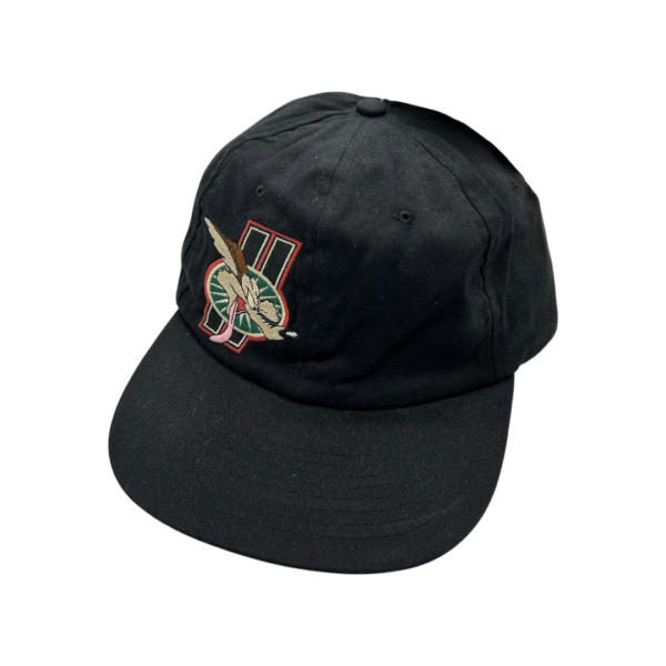 Looney Tunes vintage Cap Will E. Coyote black